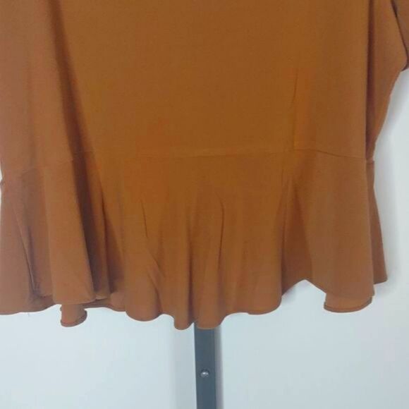 Perceptions Women 1X Carmel Polyester Tie Overblouse - Picture 7 of 9